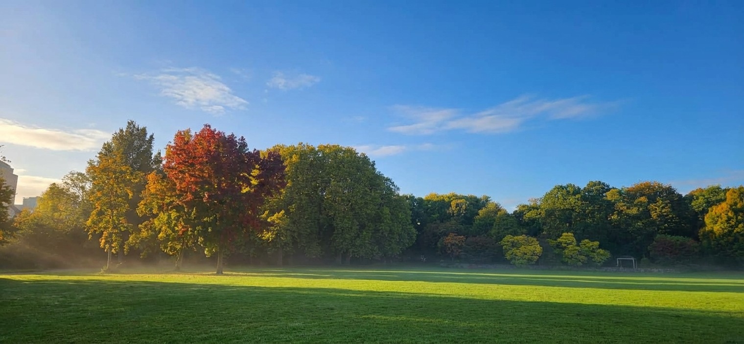 宁静自然公园环境 — 精神科医生曹宇光中环诊所